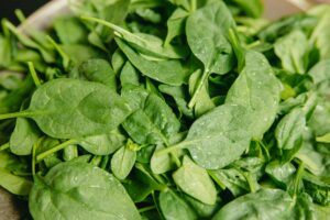 Semi-Savoy Spinach: