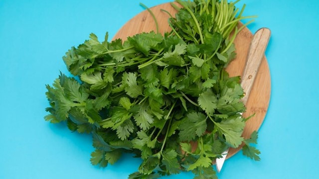Read more about the article Coriander